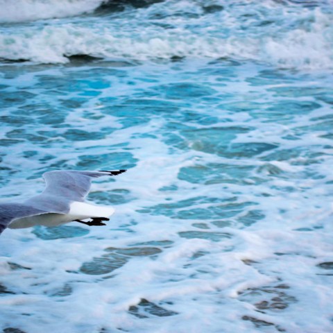 Motion; Photography; Line Stenseth