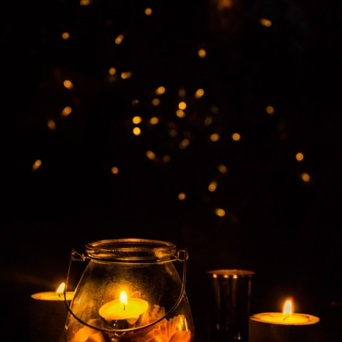 Light; photography; byLine; Line Stenseth; Bokeh